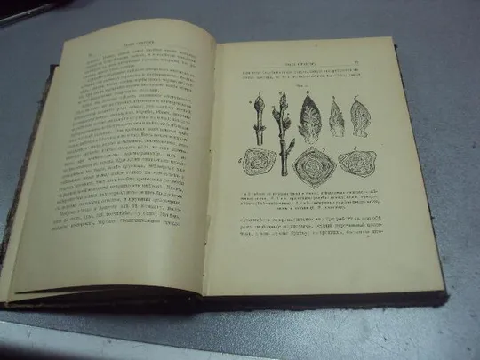 книга кайгородов популярные очерки из мира растений 1912 издание суворина №183 Недорого