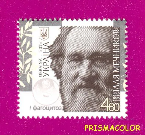 ** УКРАИНА 2015 N1433 марка Илья Мечников ученый Нобелевский лауреат Ціна