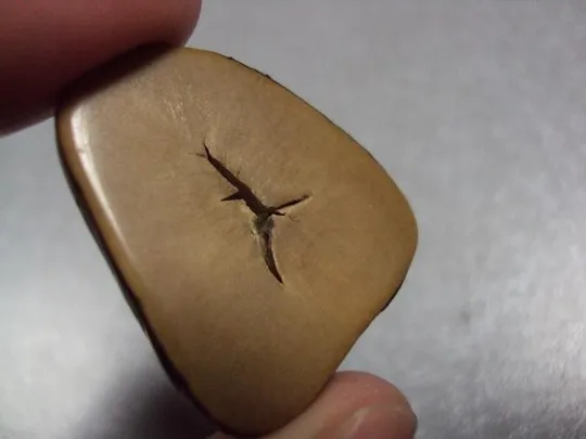 Камень бусина яшма или дерево для ювелирных изделий вес 3,04 г размер 4,5 х 29 х 19 х 24,5 мм №13287 Продаж