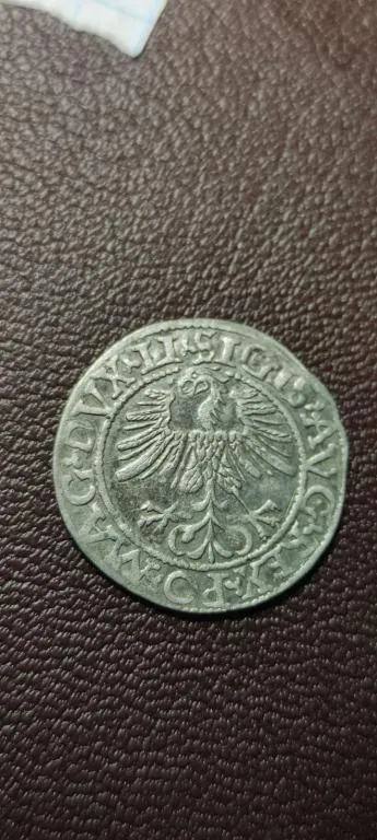 1562 год подлинная серебряная монета полугрош півгріш Литва vg748 З аукціону