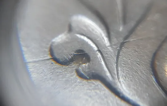 (2442) 5 копійок 1992 розкол на аверсі від канту через лівий нижній листок + розкол на реверсі /5 копеек 1992 брак З аукціону