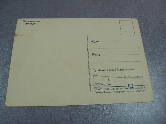 открытка тугайные олени 1958 гиппенрейтера №11035 Інтернет-аукціон