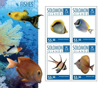 фото, Соломоновы о-ва-Рыбы-2014.Чистый полный комплект.MNH.
