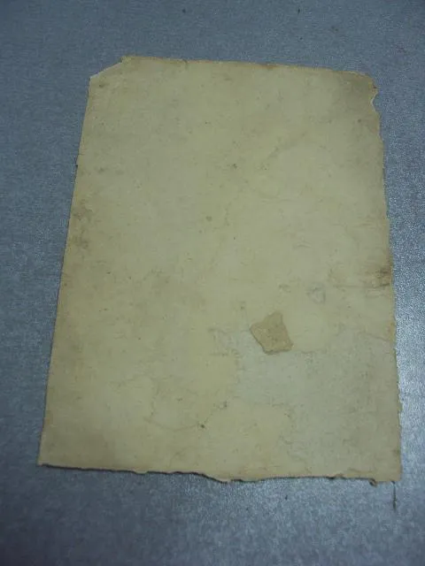фотография портретная №1301 Продаж