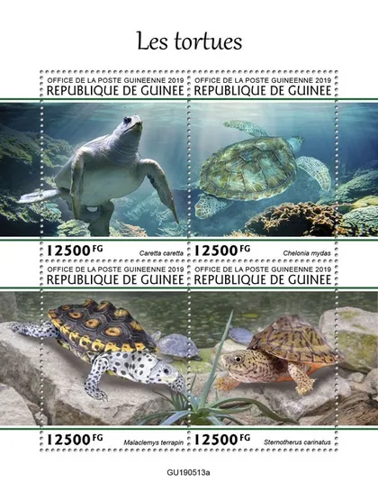 фото, Гвинея-Черепахи-2019.Чистый полный комплект.MNH.