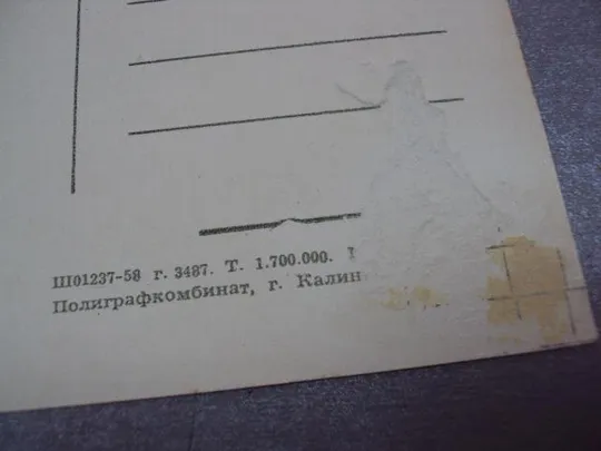 открытка гвоздики шагина 1958 №12490 Недорого