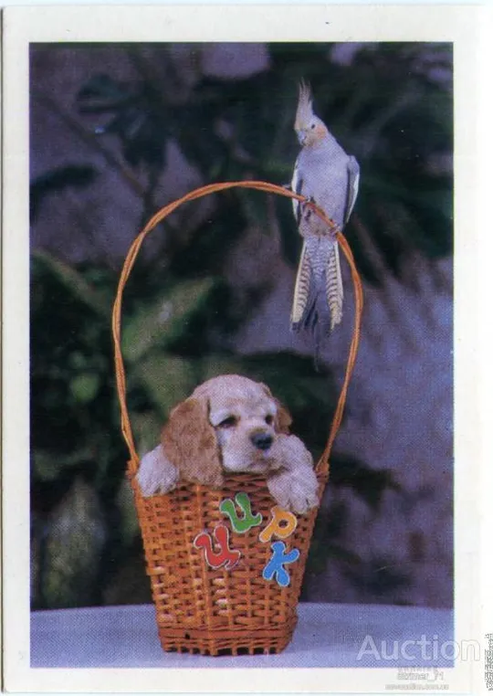 Календарик карманный ЦИРК 1990 Ціна