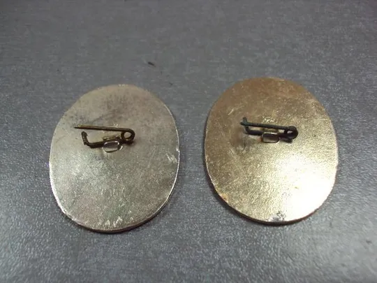 знак герб городов рсфср лодейное поле лот 2 шт №10701 З аукціону