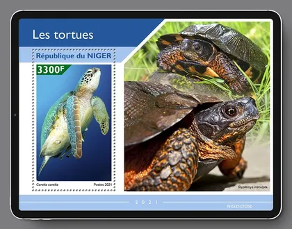 фото, Нигер-Черепахи-2021.Чистый полный красивый комплект.MNH.