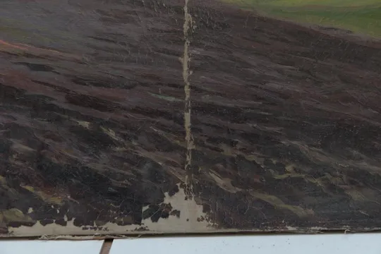Купити Картина Сельский пейзаж поле. холст масло 81х53 см №34