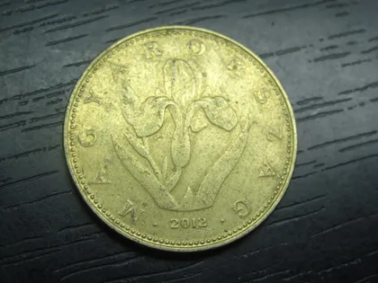 фото, 20 форинтів Угорщина 2012