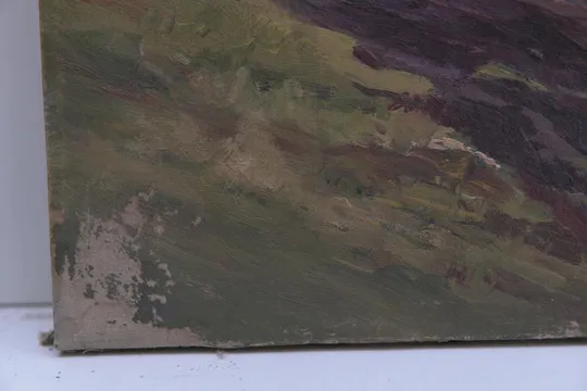 Картина Сельский пейзаж поле. холст масло 81х53 см №34 З аукціону