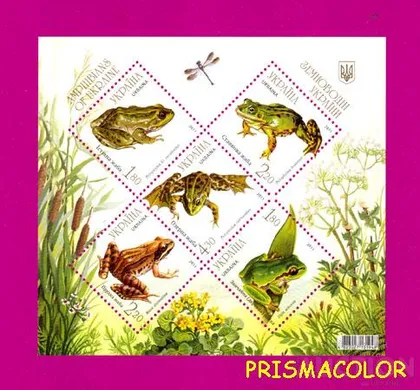 фото, ** УКРАИНА 2011 N1140-1144 (b93) блок Фауна Земноводные Жабы ! !