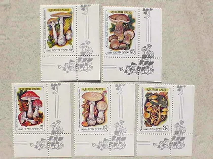 фото, Серія поштових марок СССР " Отруйні гриби " 1986 рік **