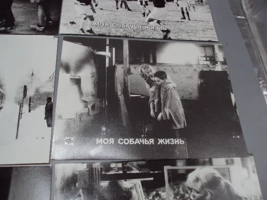 Кадр из фильма Моя собачья жизнь 1, 2, 3, 4, 5, 6 - 92 фотография 23,7х18,3 см лот 6 шт №18352МЯ в Україні