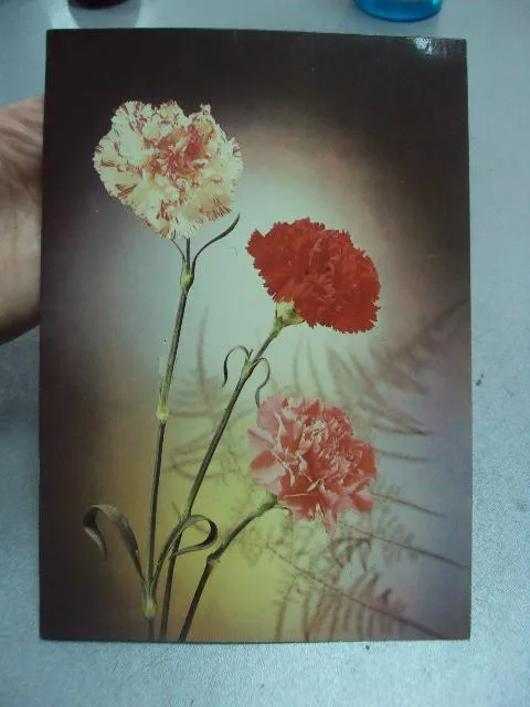 открытка с днем рождения киндрова 1982 двойная большая №4420 З аукціону