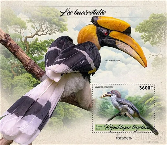 Того -Птицы - Носороги -2023. Чистый полный красивый комплект. MNH. Ціна