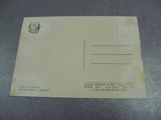 открытка цветы и земляника зиверта 1961 №12435 З аукціону