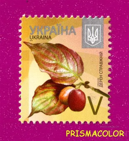 фото, ** УКРАИНА 2015 N1456 марка 8-ой стандарт ЛИТЕРА V Кизил Флора