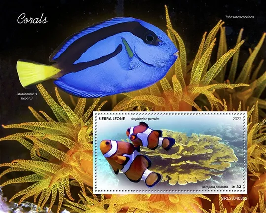 Сьерра Леоне-Рыбы и Кораллы-2022.Чистый полный красивый комплект.MNH. З аукціону