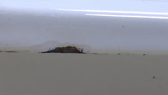 Лоток контейнер емалірований дитячий посуд Їжачки старий радянський Вживане #3 Недорого