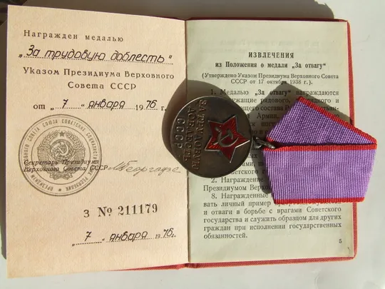 Купити Медаль Трудовая доблесть + доки нагр. 1976 года на Яхимович Тамара . Люкс. В родной патине.