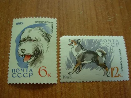 фото, 1965.ссср