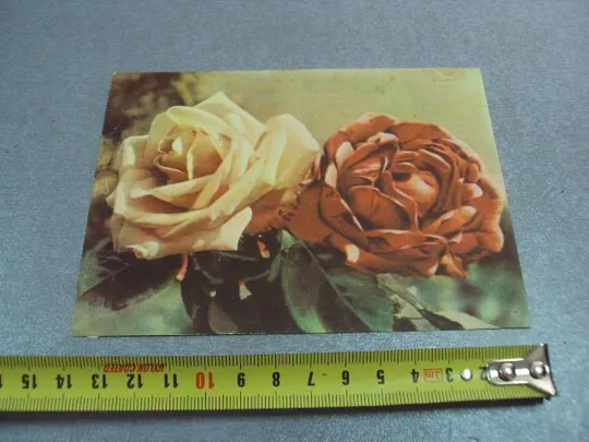 открытка розы федорова 1958 №12472 Ціна