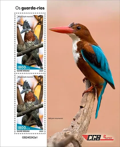 фото, Гвинея Бисау-Птицы Зимородки-2024. Чистый полный комплект.MNH.