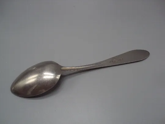 Столовые приборы ложка нерж узор цветы нержавейка длина 20,8 см №18623в Інтернет-аукціон