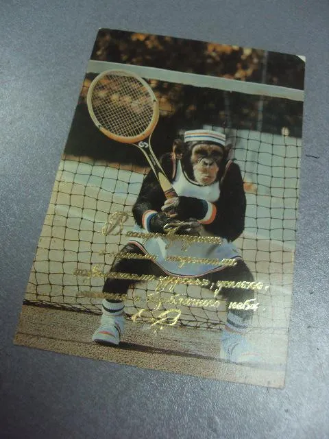 открытка шимпанзе кооператив кировец №345 Ціна