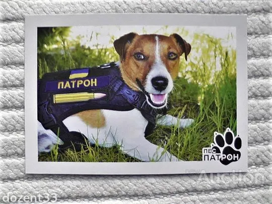 Поштова картка " Пес Патрон " Ціна