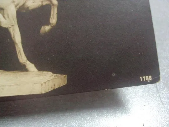 открытка erich schmidt-kestner №1420 Недорого