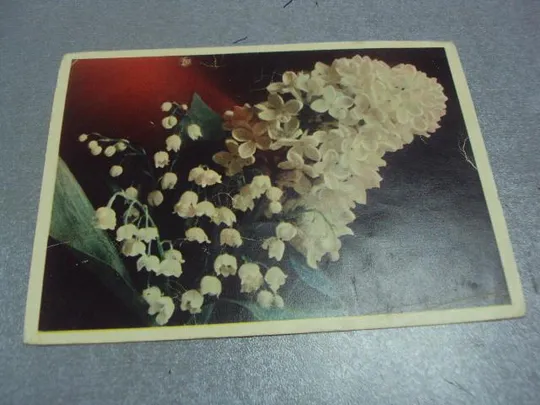 открытка сирень шерстенев 1959 №238 Ціна