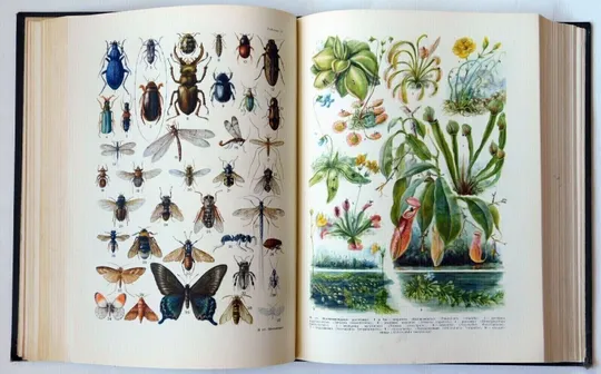 Малая советская энциклопедия в 10 томах, СССР, 1958-1960 гг. Де купити