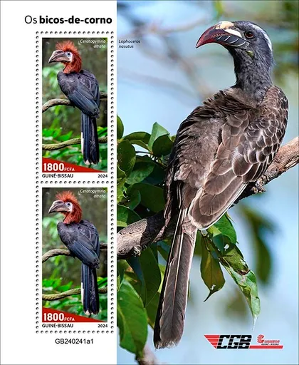 фото, Гвинея Бисау-Птицы Носороги-2024. Чистый полный комплект.MNH.