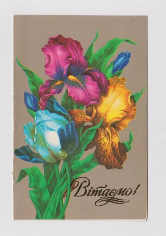 ВІТАЄМО  - ПОЗДРАВЛЯЕМ = 1984 г. = ЛИСЕЦКИЙ = двойная п/п = тираж 368 тыс. Ціна