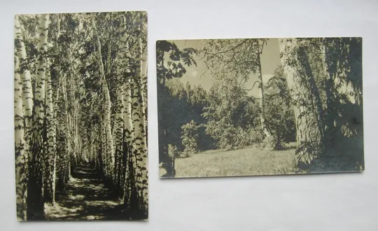 На солнечной полянке - Воронежская обл. В березовой роще = ИЗОГИЗ - 1954 р = чисті = тираж 20 тис == Ціна