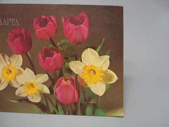 Купити Открытка 8 марта цветы тюльпаны и нарциссы художник Б. Круцко 1982 год №17844