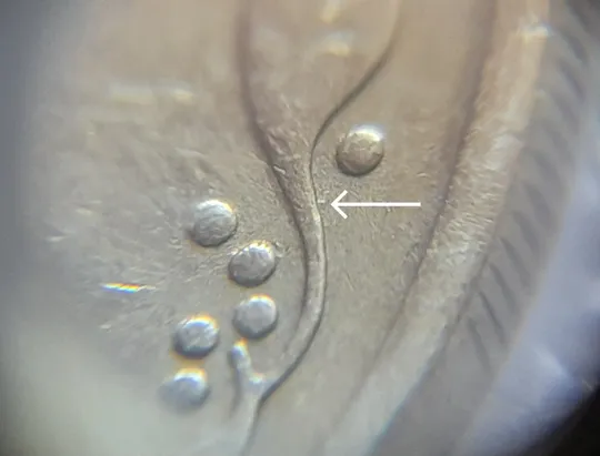 (4315) 25 копійок 1992 3БА(а)м по каталогу В.Шекені (25 копеек 1992 3БА(а)м брак) З аукціону