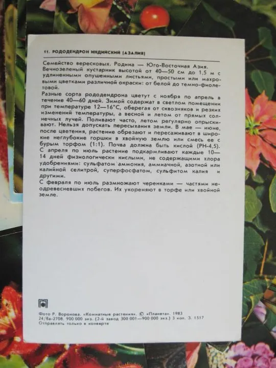Купити КОМНАТНЫЕ РАСТЕНИЯ = 22 ОТКРЫТКИ = 1983 г.