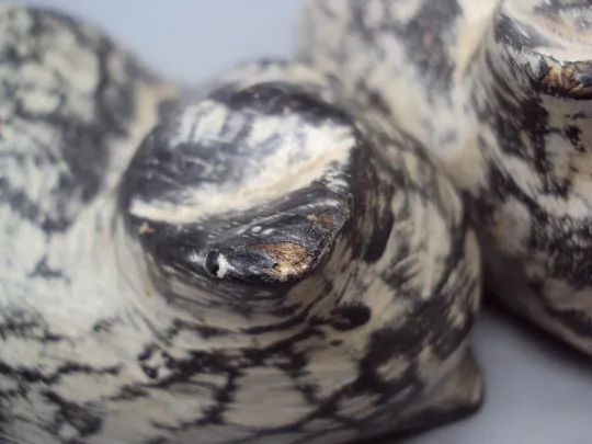 Фигура дерево статуэтка кот спящий котик котенок спит пума Европа размер 6 х 16,5 см лот 2 шт №11027 Інтернет-аукціон