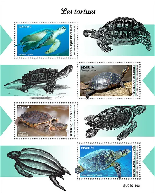 Купити Гвинея- Черепахи-2023.Чистый полный красивый комплект.MNH.