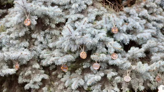 Автомобільний освіжувач повітря з парфумованою олією з логотипом exus З аукціону