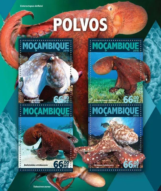 Купити Мозамбик-Осьминог-2016. Чистый полный красивый комплект.MNH.
