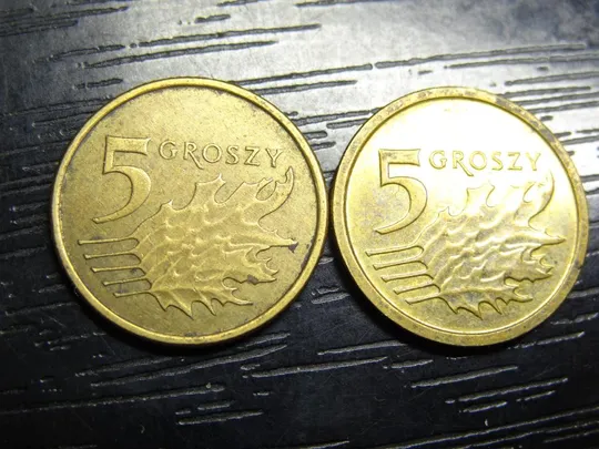 Купити 5 грошей 2014 Польща (два різновиди)