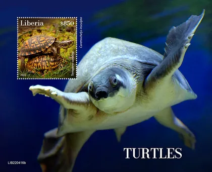 фото, Либерия-Черепахи-2022. Чистый полный красивый комплект.MNH.