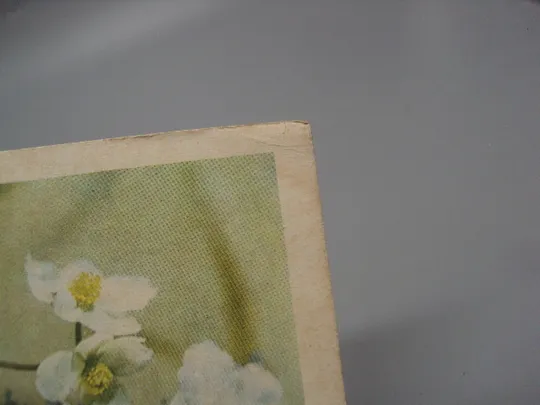 Открытка С праздником 8 марта цветы фото и худ. оформление И. Дергилев ред. Рязанцев 1968 год №17831 Інтернет-аукціон