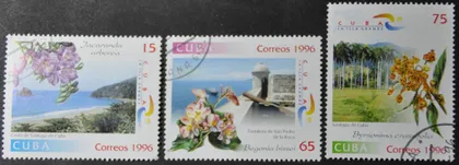 фото, Куба Флора Цветы 1996