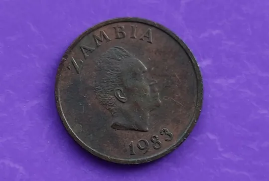 Купити Монета Трубкозуб -аадварк Африканский 1 нгве 1983 года Замбия kd823
